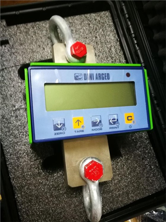 意大利狄納喬進口10噸電子吊鉤秤實拍